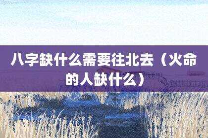 八字缺什么需要往北去（火命的人缺什么）