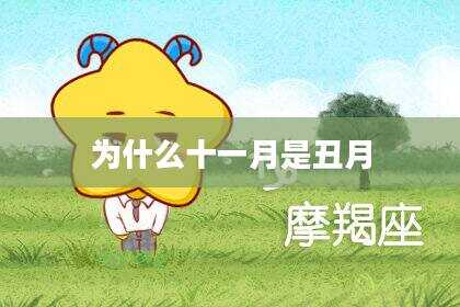 为什么十一月是丑月