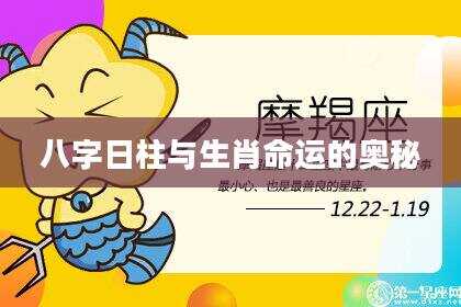 八字日柱与生肖命运的奥秘
