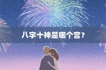 八字十神是哪个宫？