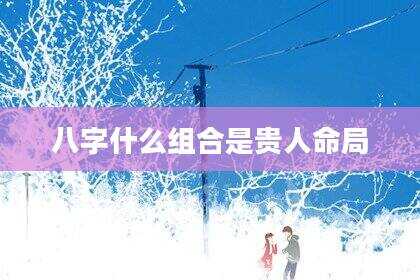 八字什么组合是贵人命局
