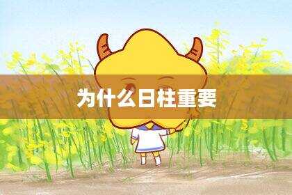 为什么日柱重要