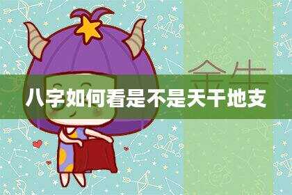 八字如何看是不是天干地支