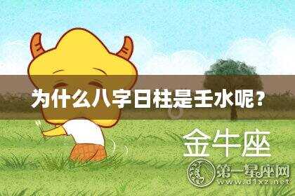 为什么八字日柱是壬水呢？