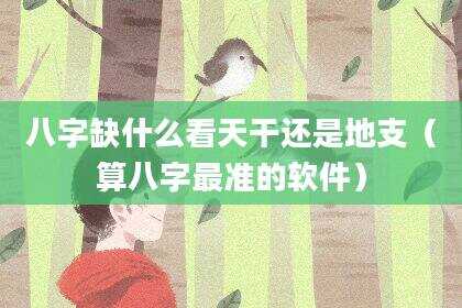 八字缺什么看天干还是地支（算八字最准的软件）