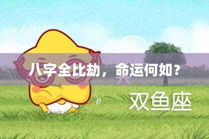 八字全比劫，命运何如？