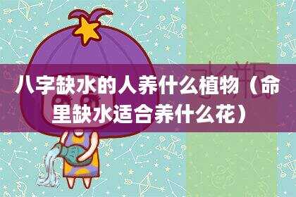 八字缺水的人养什么植物（命里缺水适合养什么花）