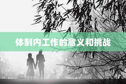 体制内工作的意义和挑战