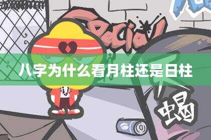 八字为什么看月柱还是日柱
