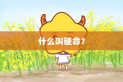 什么叫硬命？