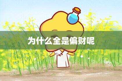 为什么全是偏财呢