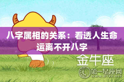 八字属相的关系：看透人生命运离不开八字