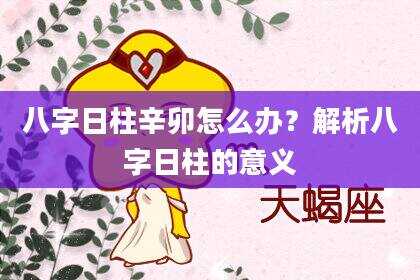 八字日柱辛卯怎么办？解析八字日柱的意义