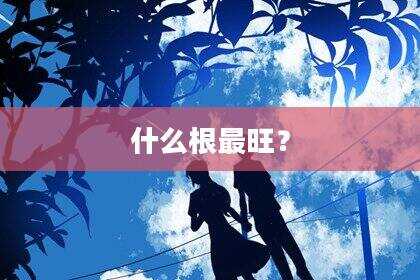 什么根最旺？