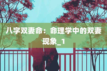 八字双妻命：命理学中的双妻现象_1