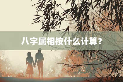 八字属相按什么计算？