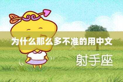 为什么那么多不准的用中文