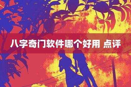 八字奇门软件哪个好用 点评