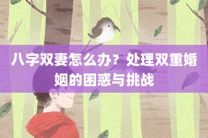 八字双妻怎么办？处理双重婚姻的困惑与挑战