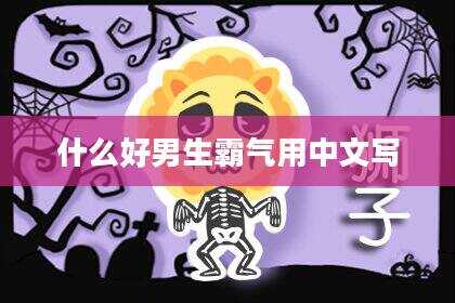 什么好男生霸气用中文写