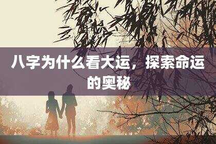 八字为什么看大运，探索命运的奥秘