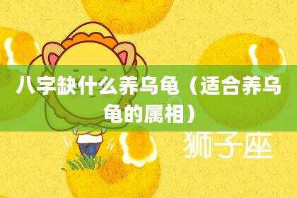 八字缺什么养乌龟（适合养乌龟的属相）