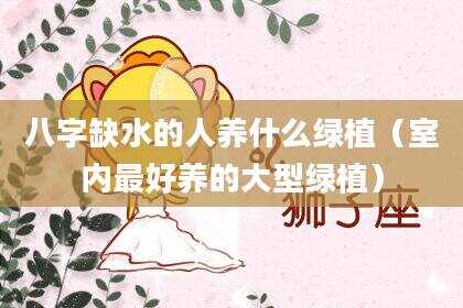 八字缺水的人养什么绿植（室内最好养的大型绿植）