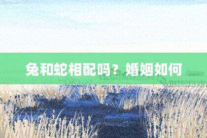 兔和蛇相配吗？婚姻如何
