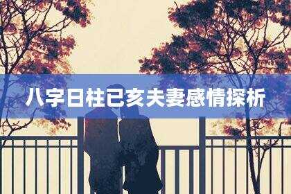 八字日柱已亥夫妻感情探析