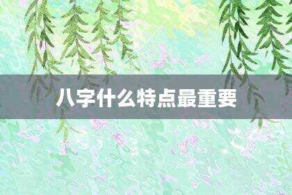 八字什么特点最重要