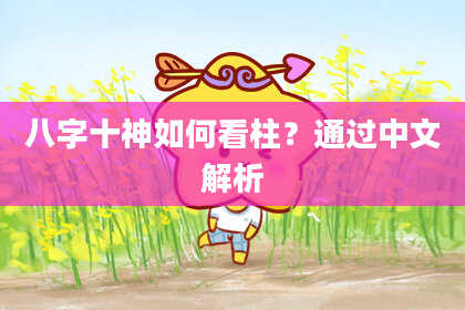 八字十神如何看柱？通过中文解析