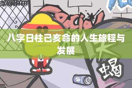 八字日柱己亥命的人生旅程与发展