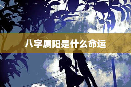 八字属阳是什么命运
