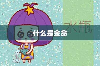 什么是金命