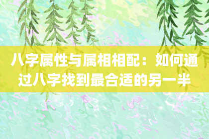 八字属性与属相相配：如何通过八字找到最合适的另一半
