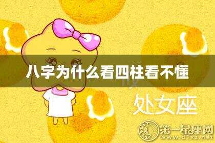 八字为什么看四柱看不懂