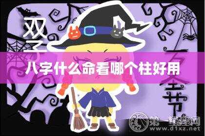 八字什么命看哪个柱好用
