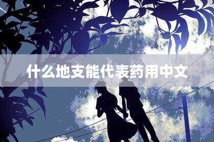 什么地支能代表药用中文
