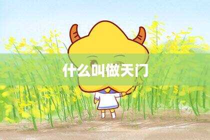 什么叫做天门