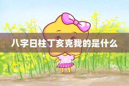 八字日柱丁亥克我的是什么