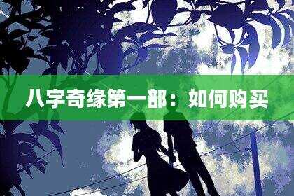 八字奇缘第一部：如何购买