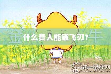 什么贵人能破飞刃？