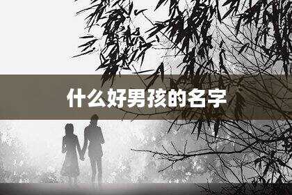 什么好男孩的名字