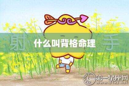 什么叫背格命理