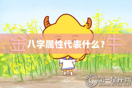 八字属性代表什么？