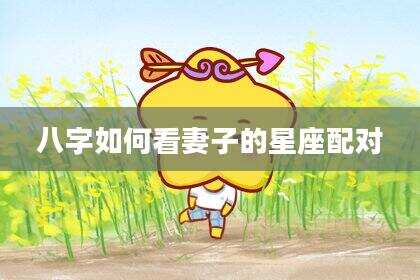 八字如何看妻子的星座配对