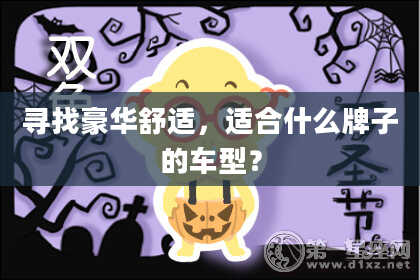 寻找豪华舒适，适合什么牌子的车型？