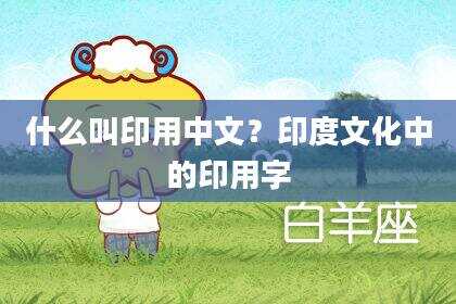 什么叫印用中文？印度文化中的印用字