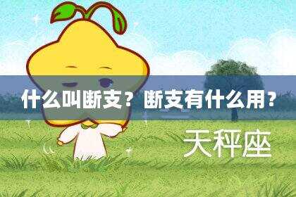 什么叫断支？断支有什么用？