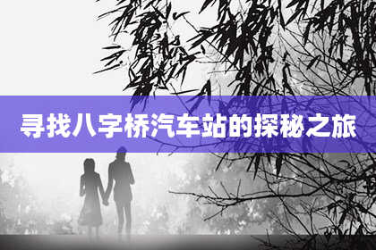 寻找八字桥汽车站的探秘之旅